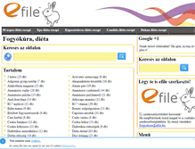 Tablet Screenshot of fogyokura.efile.hu
